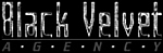 logoblack.jpg (6127 byte)